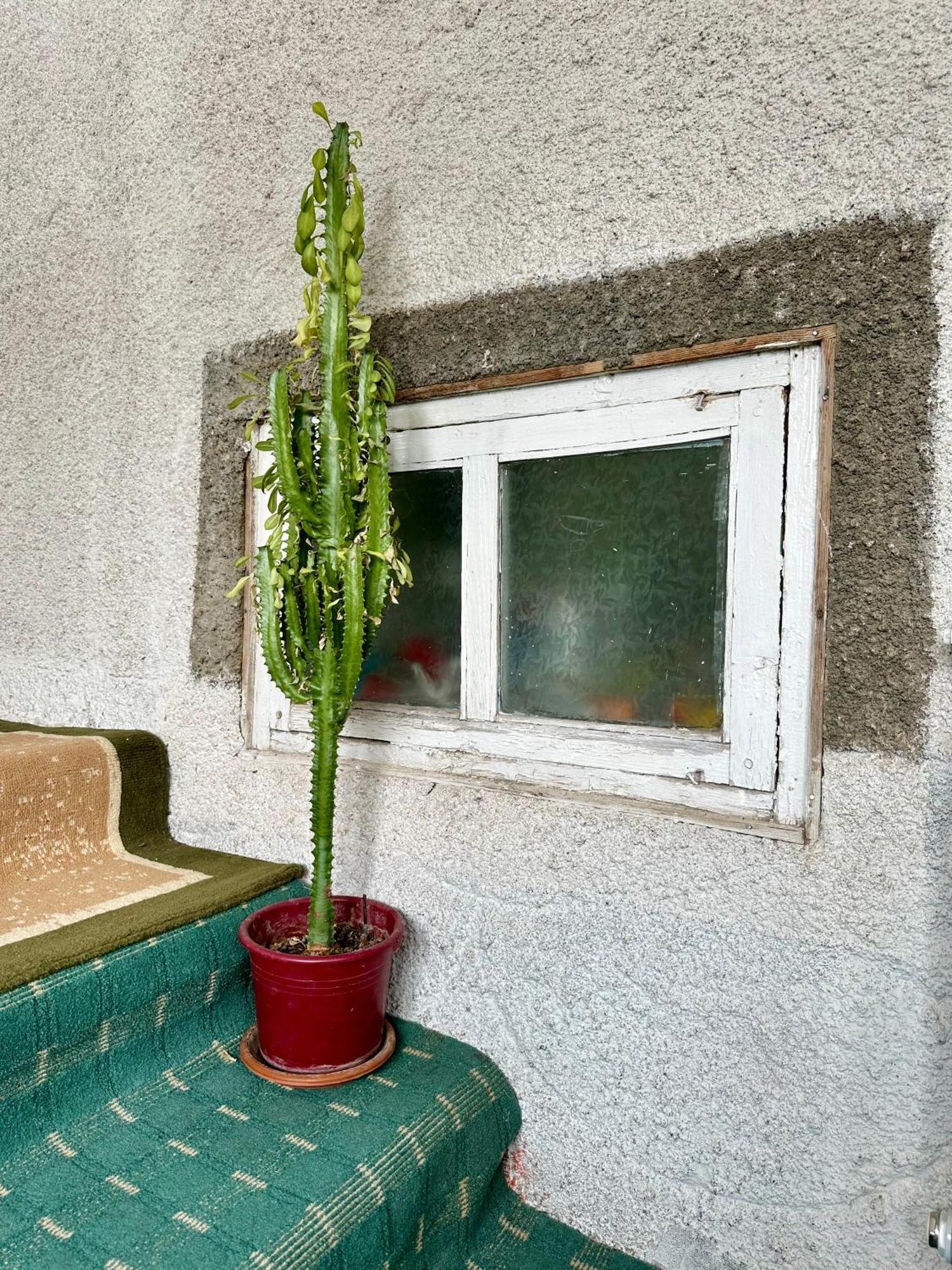 Kayyr Guest House Orgochor Екстериор снимка